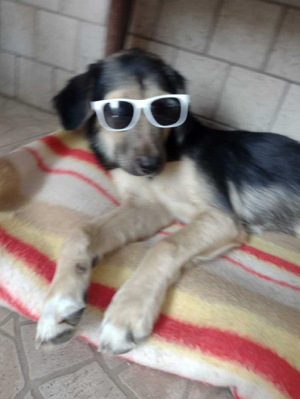 Remì Foto 4